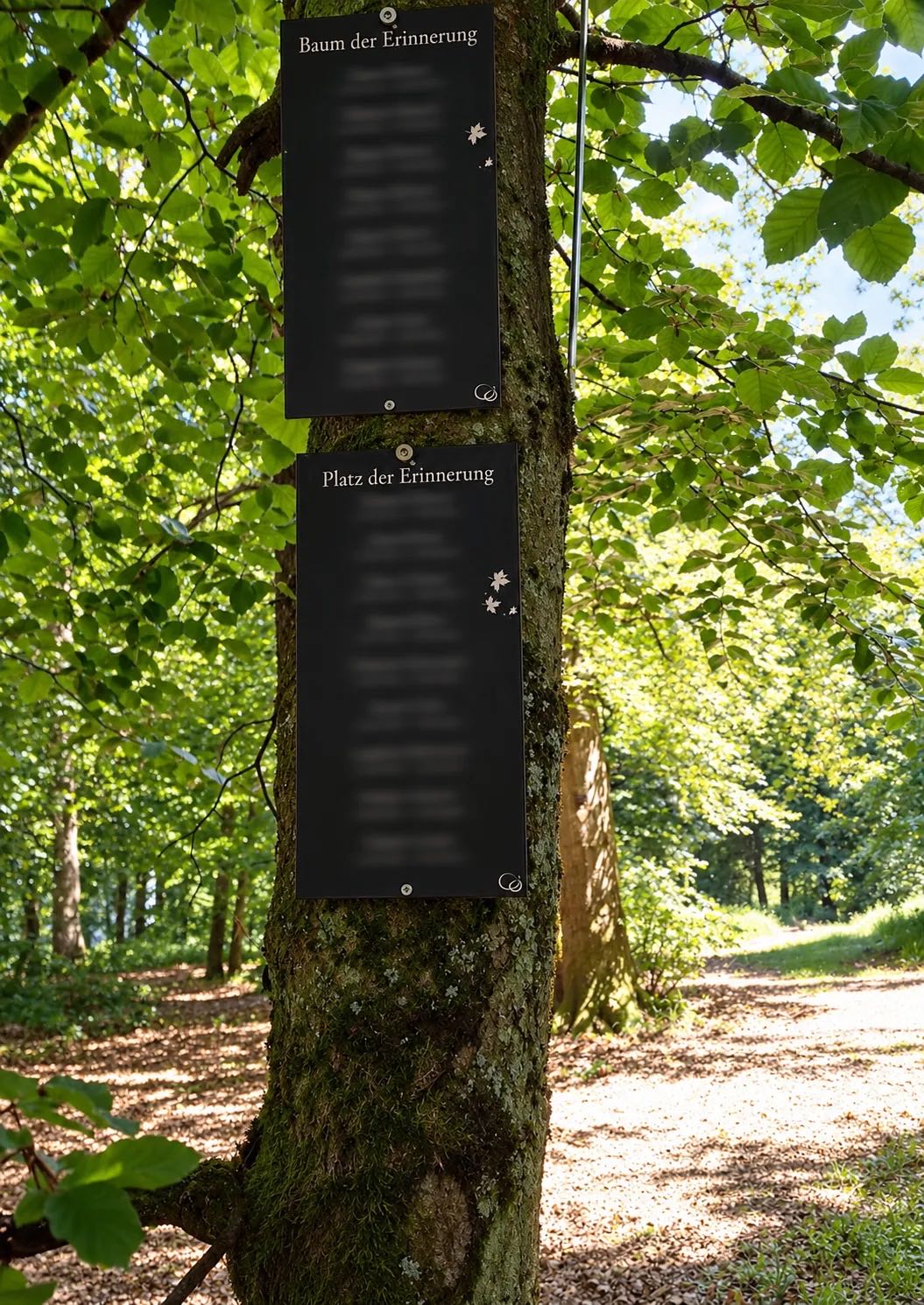 Gedenktafeln „Baum der Erinnerung“ und „Platz der Erinnerung“ an einem Baumstamm